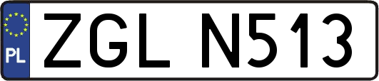 ZGLN513