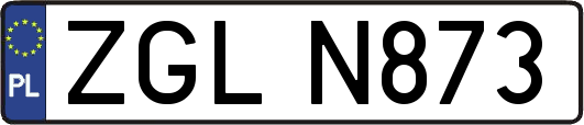 ZGLN873