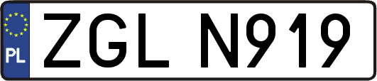 ZGLN919