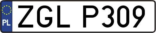 ZGLP309