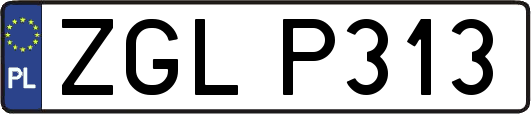 ZGLP313