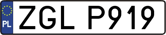 ZGLP919