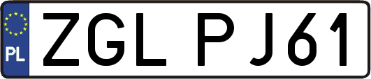 ZGLPJ61