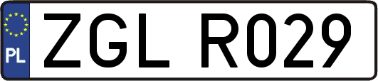 ZGLR029