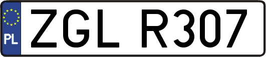 ZGLR307