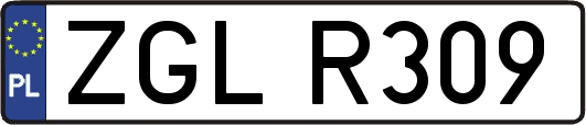 ZGLR309