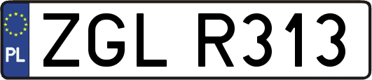 ZGLR313