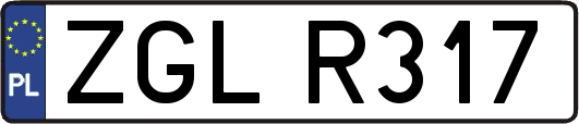 ZGLR317