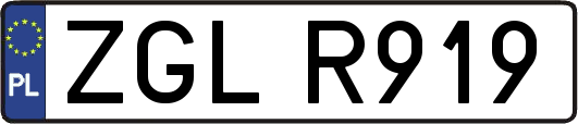 ZGLR919