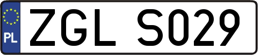 ZGLS029