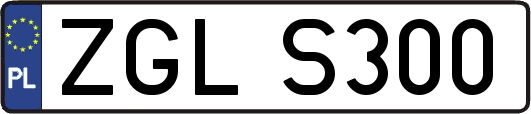 ZGLS300