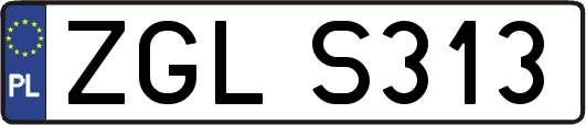 ZGLS313