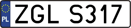 ZGLS317