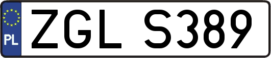 ZGLS389