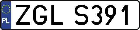 ZGLS391