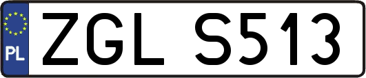 ZGLS513