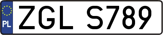 ZGLS789