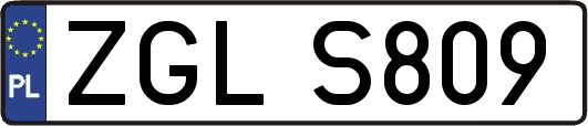 ZGLS809