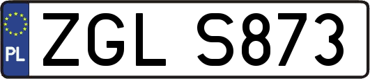 ZGLS873