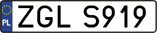 ZGLS919