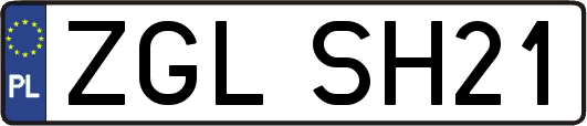 ZGLSH21