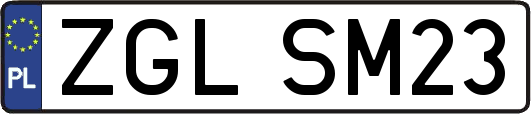 ZGLSM23