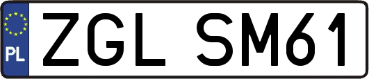 ZGLSM61