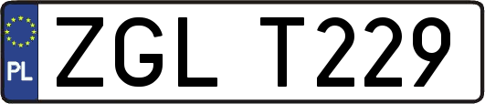 ZGLT229