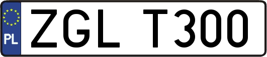 ZGLT300