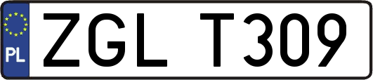 ZGLT309
