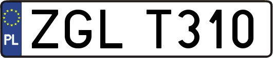ZGLT310