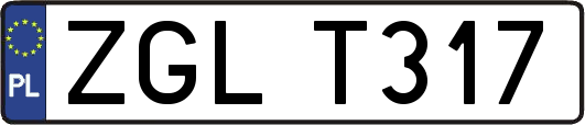ZGLT317