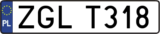 ZGLT318