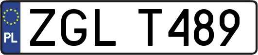 ZGLT489