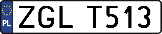 ZGLT513