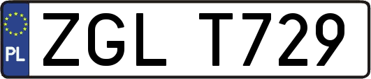ZGLT729
