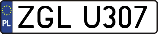 ZGLU307