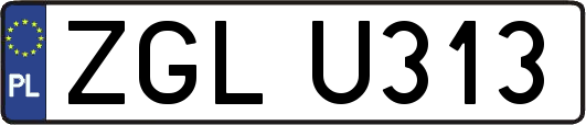 ZGLU313