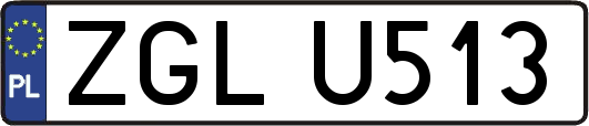 ZGLU513