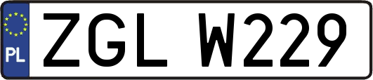 ZGLW229