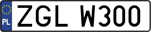 ZGLW300
