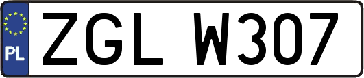 ZGLW307