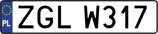 ZGLW317