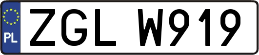 ZGLW919