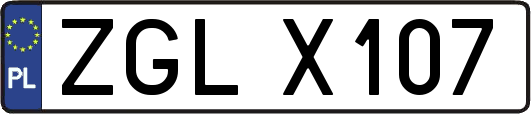 ZGLX107