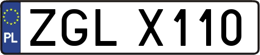 ZGLX110