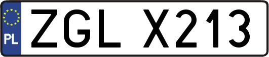 ZGLX213