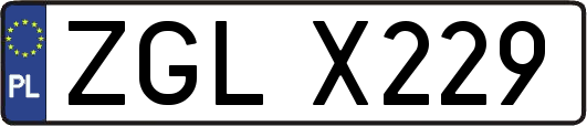 ZGLX229