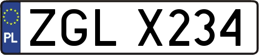 ZGLX234