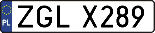 ZGLX289